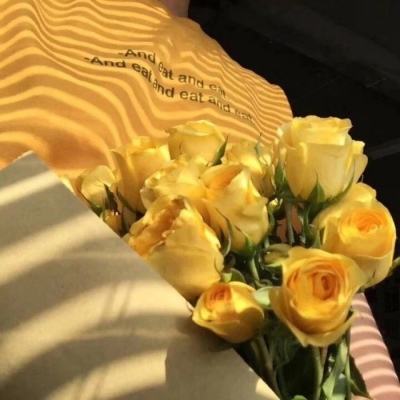 漫威之复仇者联盟2汉化破解版下载